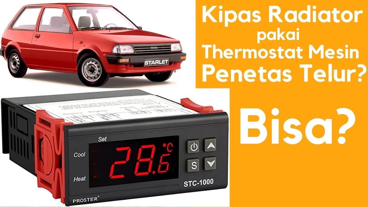 Cara Pasang STC 1000 12 Volt DC Penenetas Telur untuk Kipas Radiator Mobil