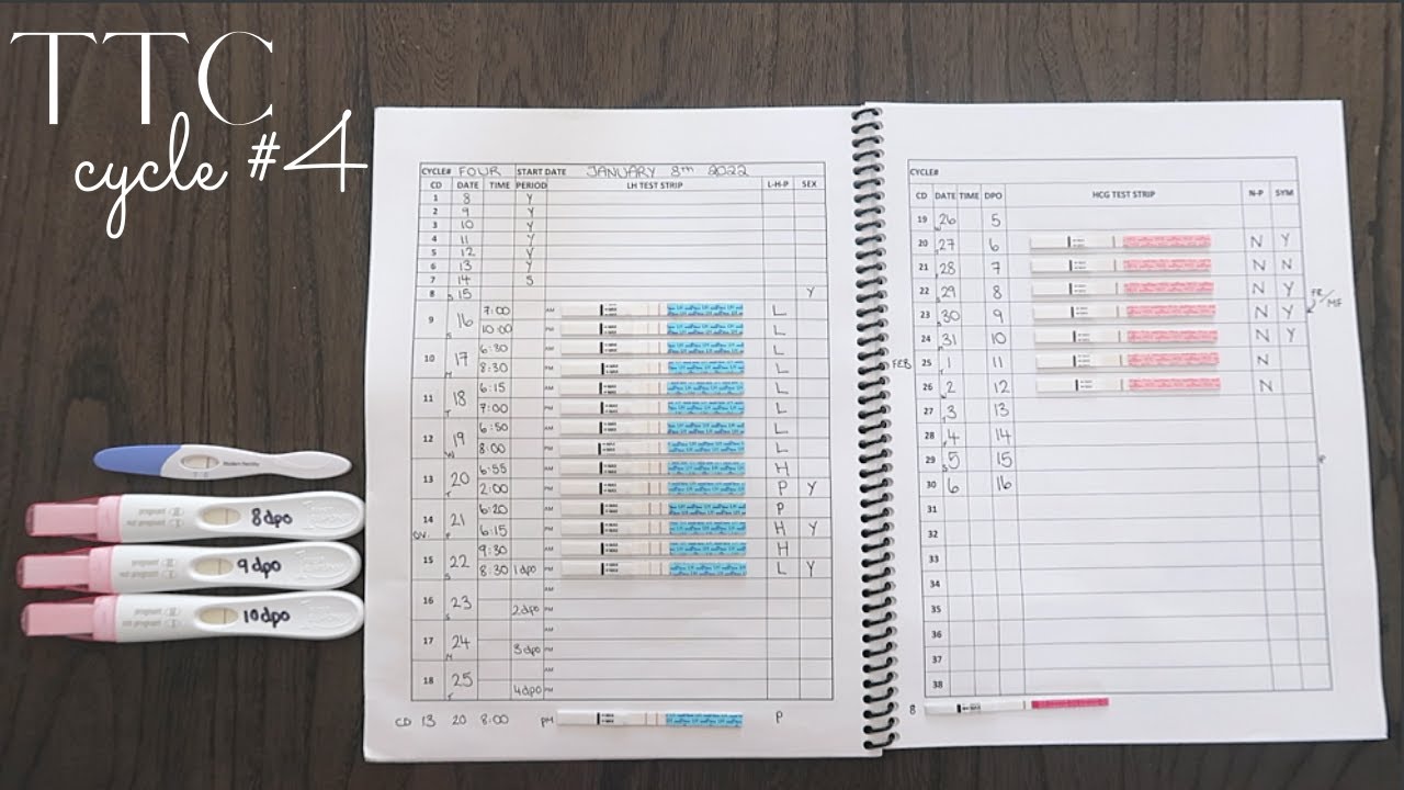 TTC BABY #2 - CYCLE #4 (ovulation + pregnancy tests)