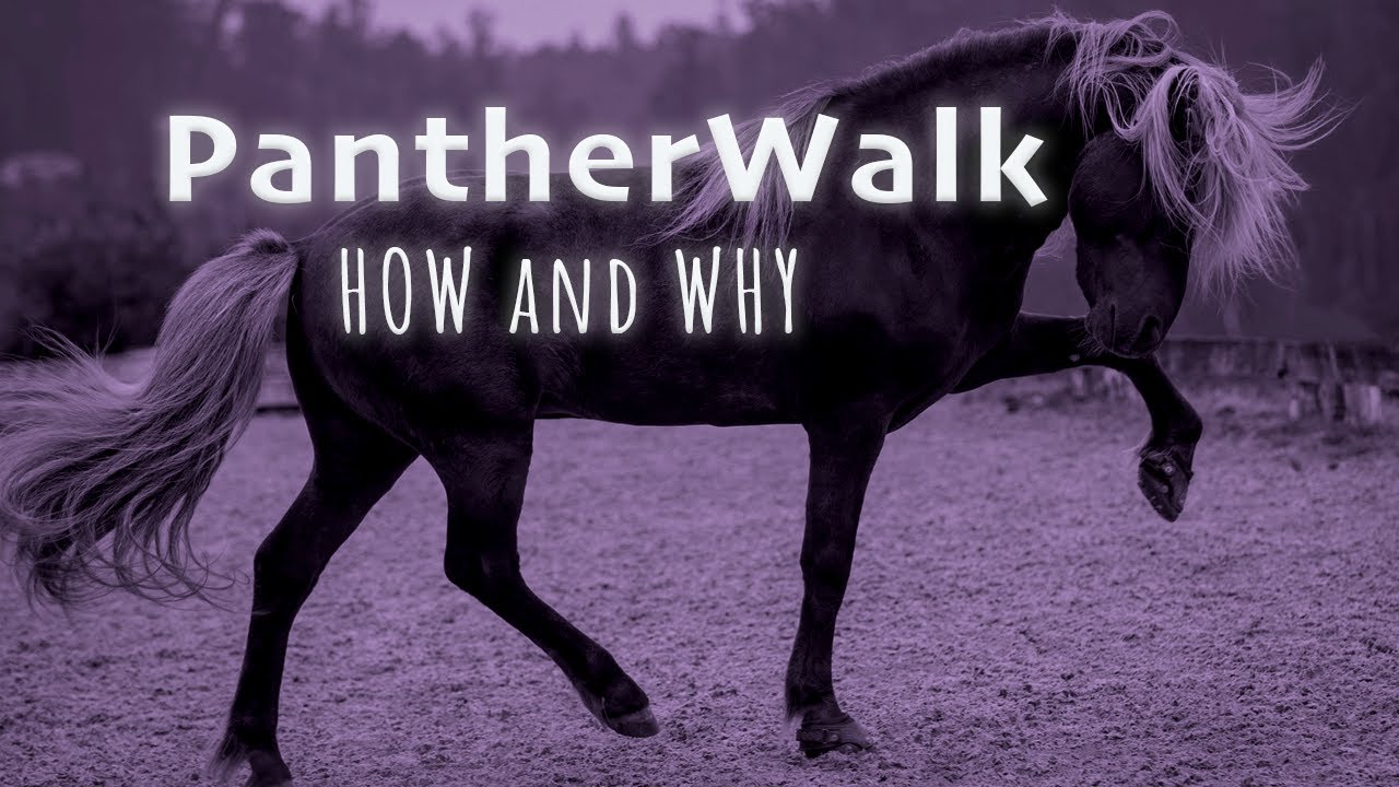Teaching Pantherwalk