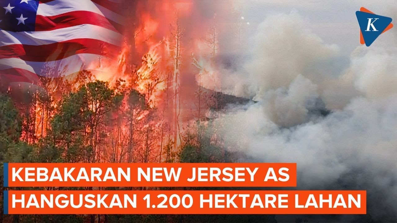 Kebakaran Hutan New Jersey AS Meluas, Api Hanguskan 1.200 Hektare Lahan