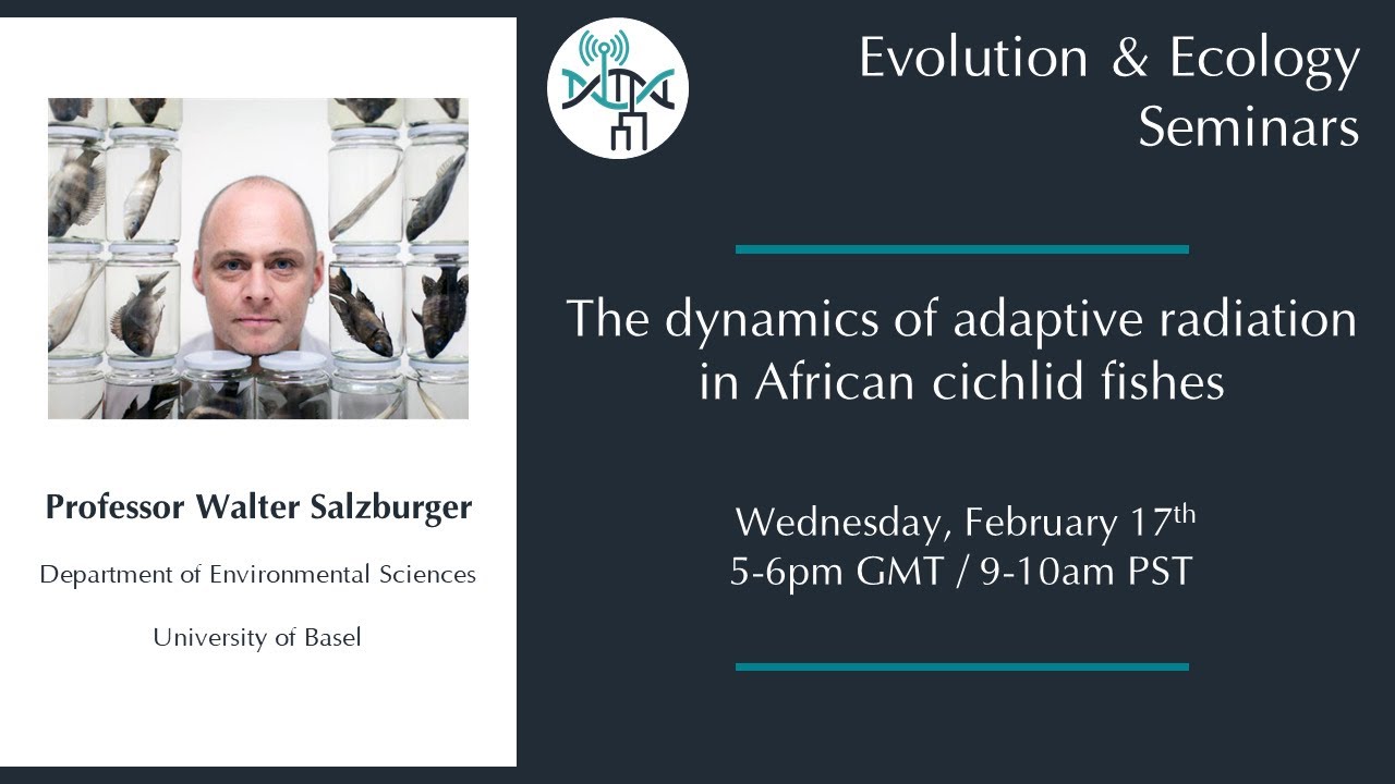 [Walter Salzburger] The dynamics of adaptive radiation in African cichlid fishes