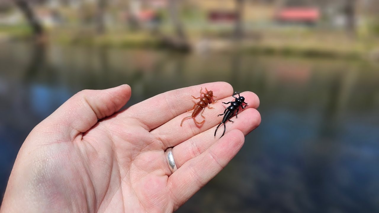This HUGE MISTAKE could Have Cost Me $5,000.. || Cherokee trout tournament!