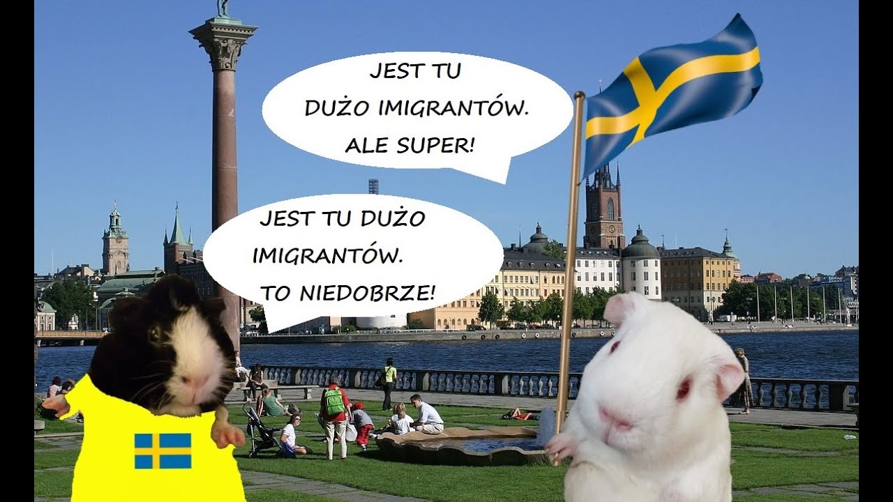 Skutki migracji ludności w Europie (geografia - lekcja zdalna online dla klasy 6)
