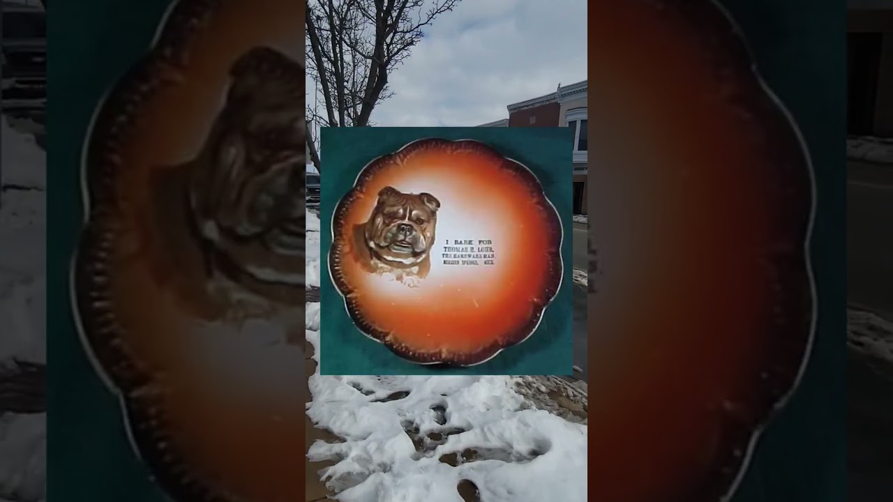 Berrien springs history walk and talk.