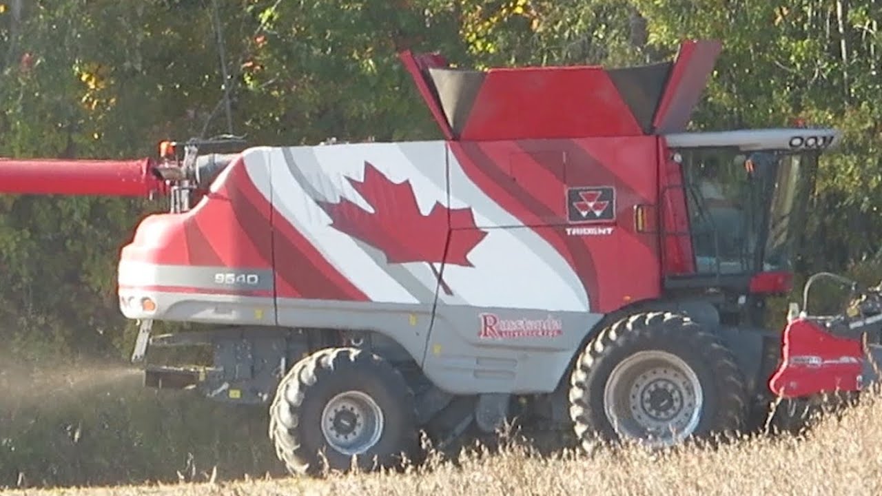 Soybean Harvest 2020 | Massey Ferguson 9540 Canadian Flag Combine Harvesting Soybeans Ontario Canada