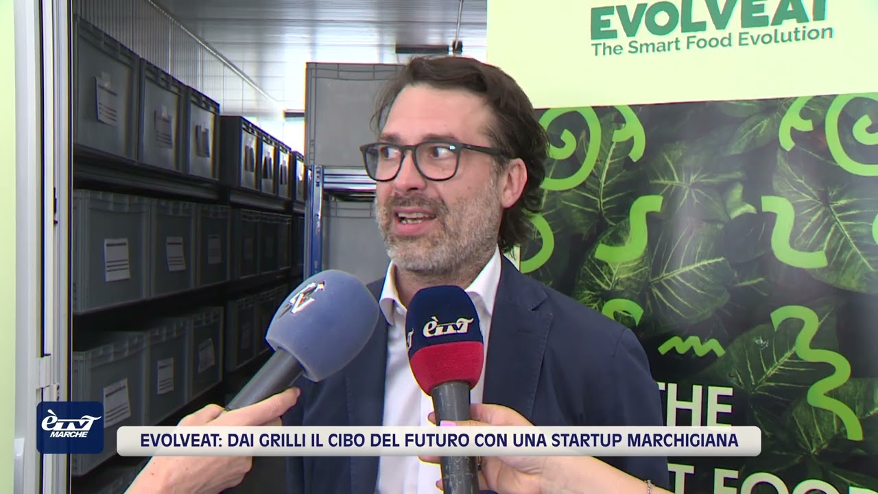 E'TV Evolveat: dai grilli il cibo del futuro con una startup marchigiana - 6 giugno 2025