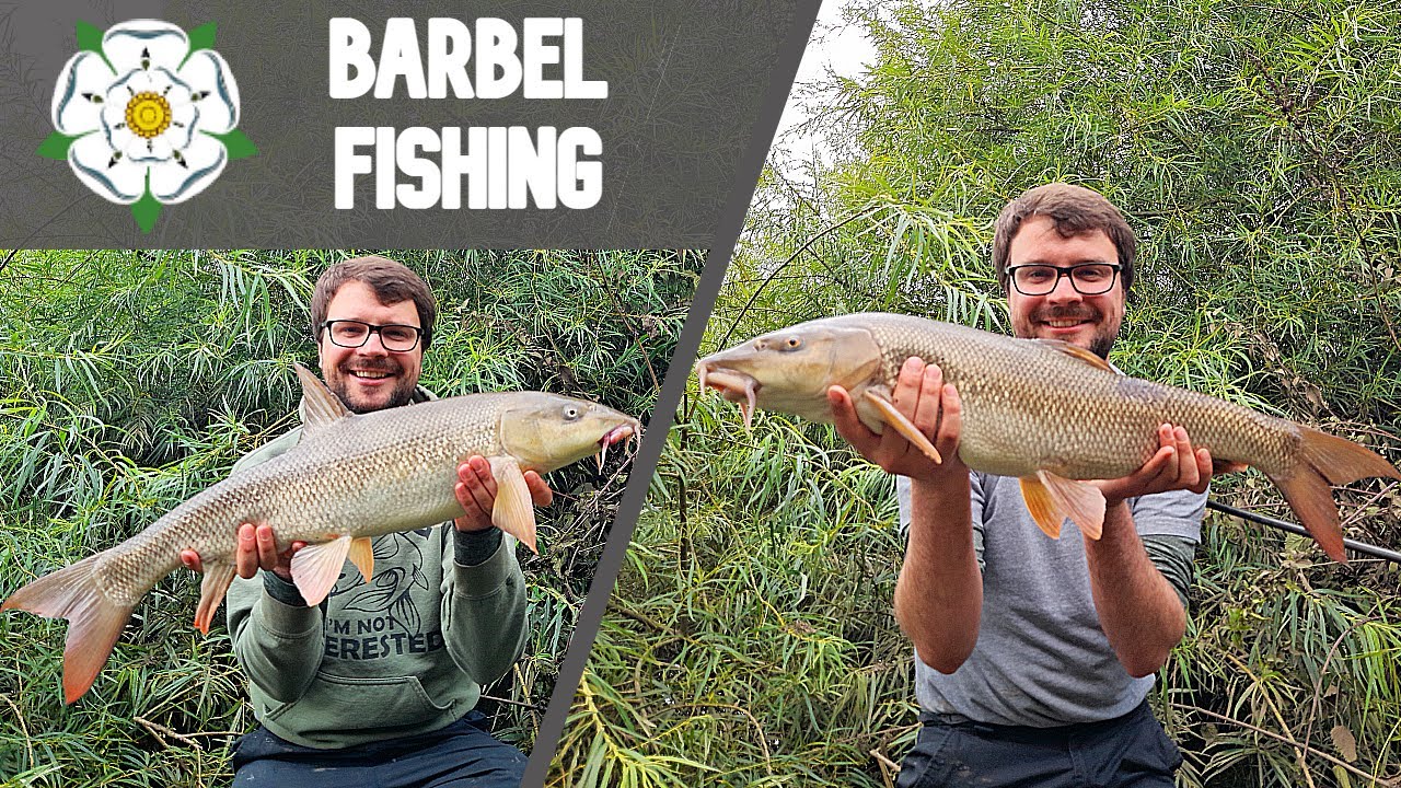 BARBEL FISHING| The most barbel I've EVER CAUGHT!