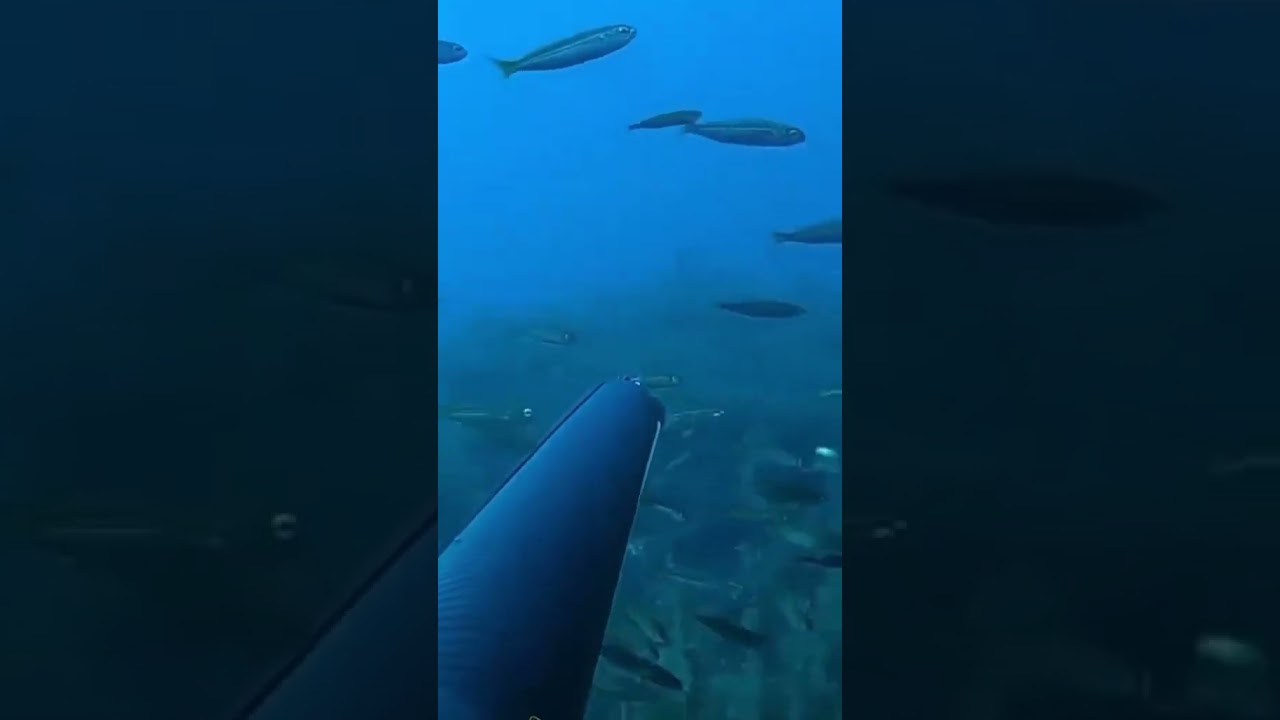 Caught On Camera: The CRAZIEST Moments In Fishing History #spearfishing