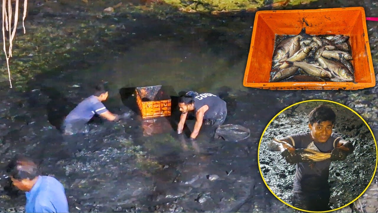 পুকুর শুকানো Part 2 😲 আজ পেলাম প্রচুর মাছ 🐟