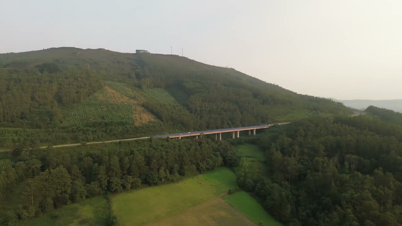 DJI  A25