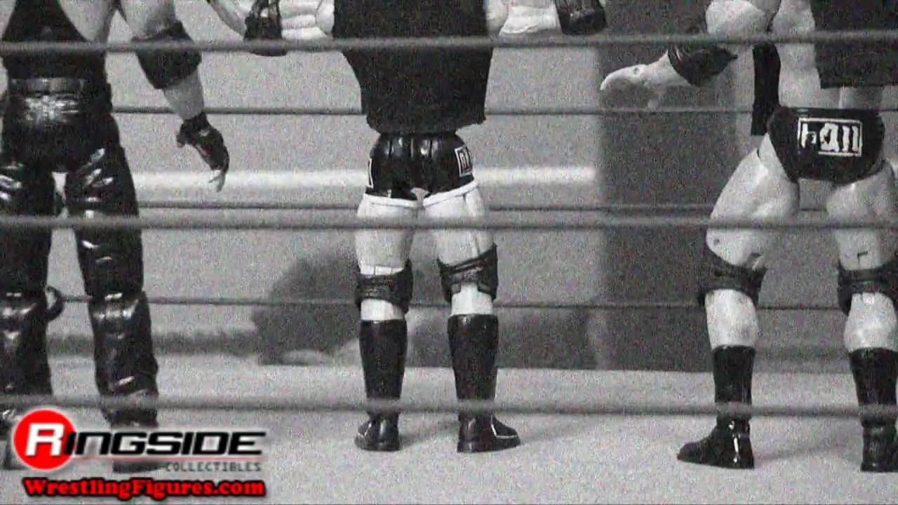 Custom NWO Federation Poison WWE Jakks Pacific Action Figure 3-Pack Kevin Nash Scott Hall X-Pac