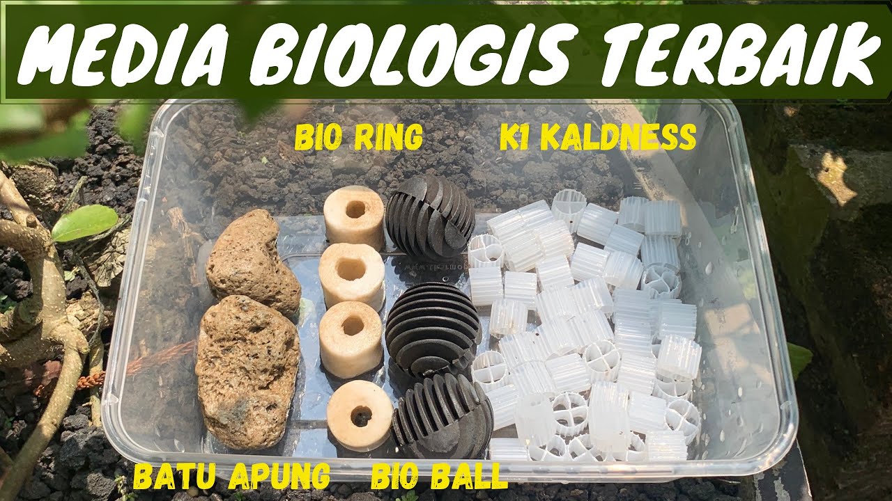 Media Filter Biologis Terbaik!