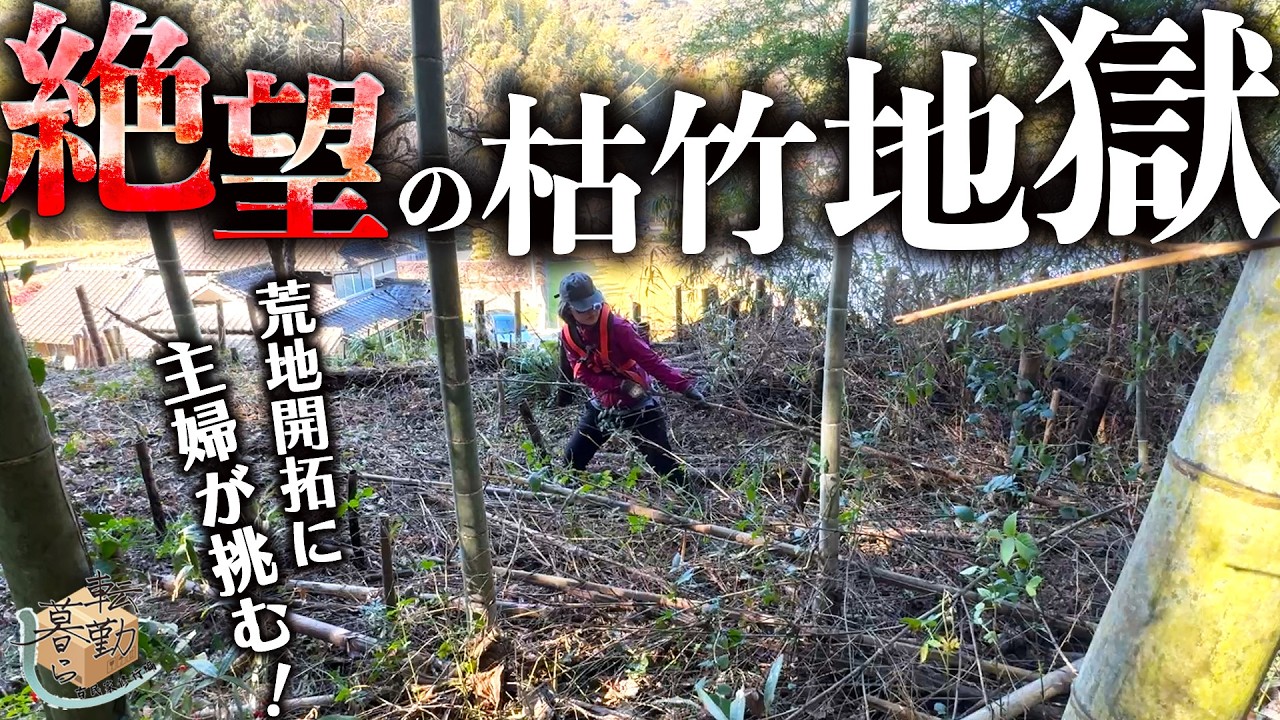 【田舎暮らし】夫が断念した耕作放棄地を妻が片付け始めたら心が砕け散る…