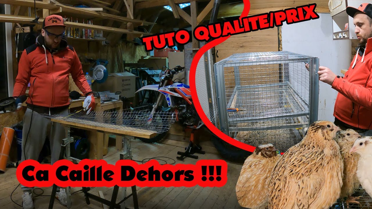 Fabrication de cage pour les cailles - les cailles l'hiver
