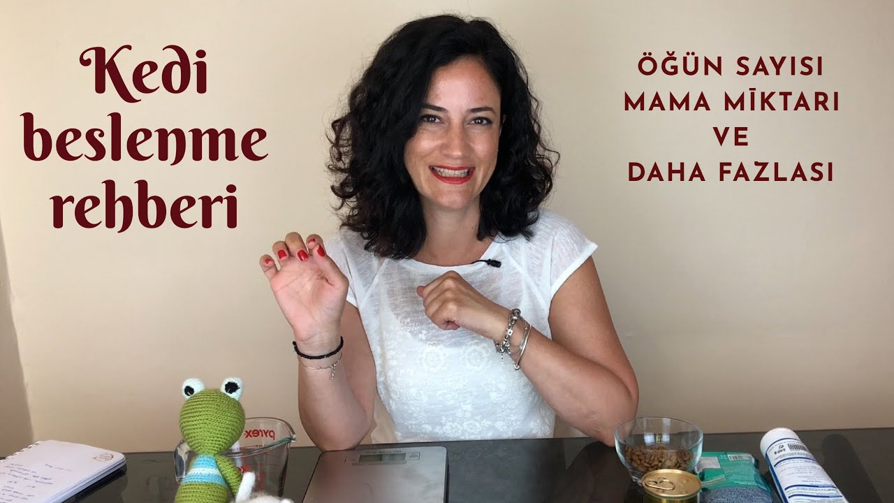 Kedi beslenme rehberi, kedimize mamasını verirken bilinmesi gereken her şey