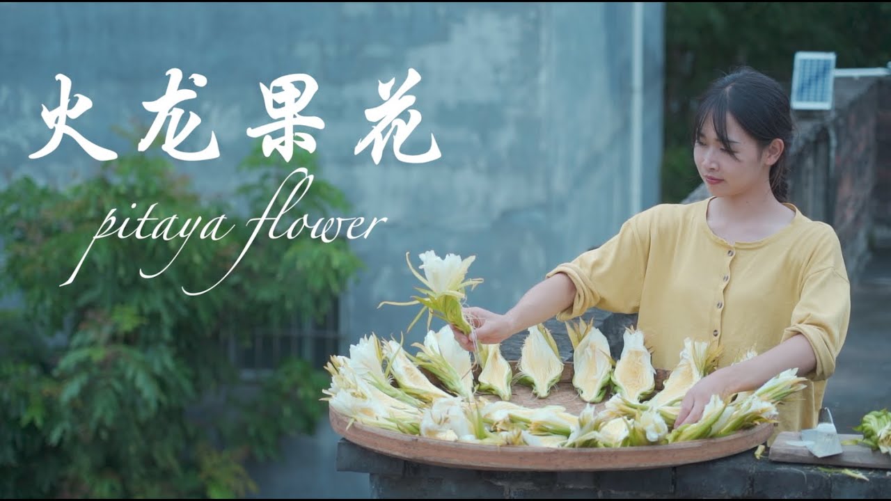 Pitaya Flowers 火龍果開花❀好看又好吃: 酥炸果花&涼拌果花&果花浸雞【染雲Ranyun】