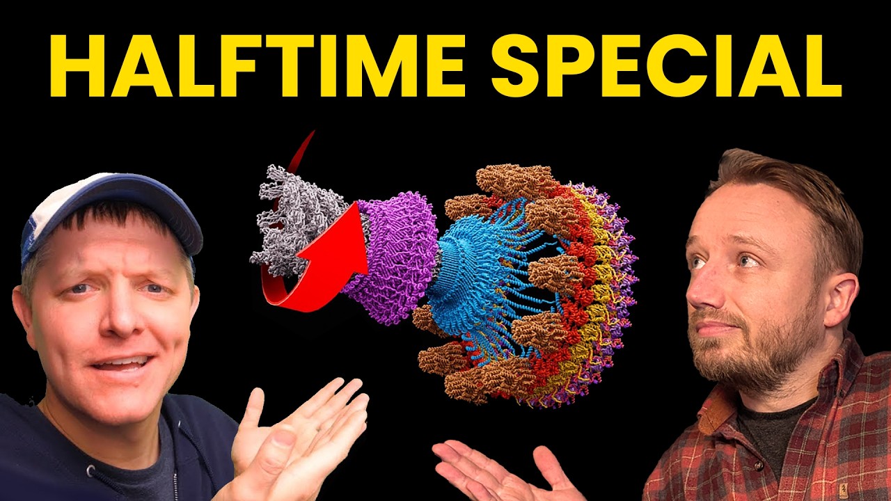 Flagellum Evolution: Your Questions Answered!