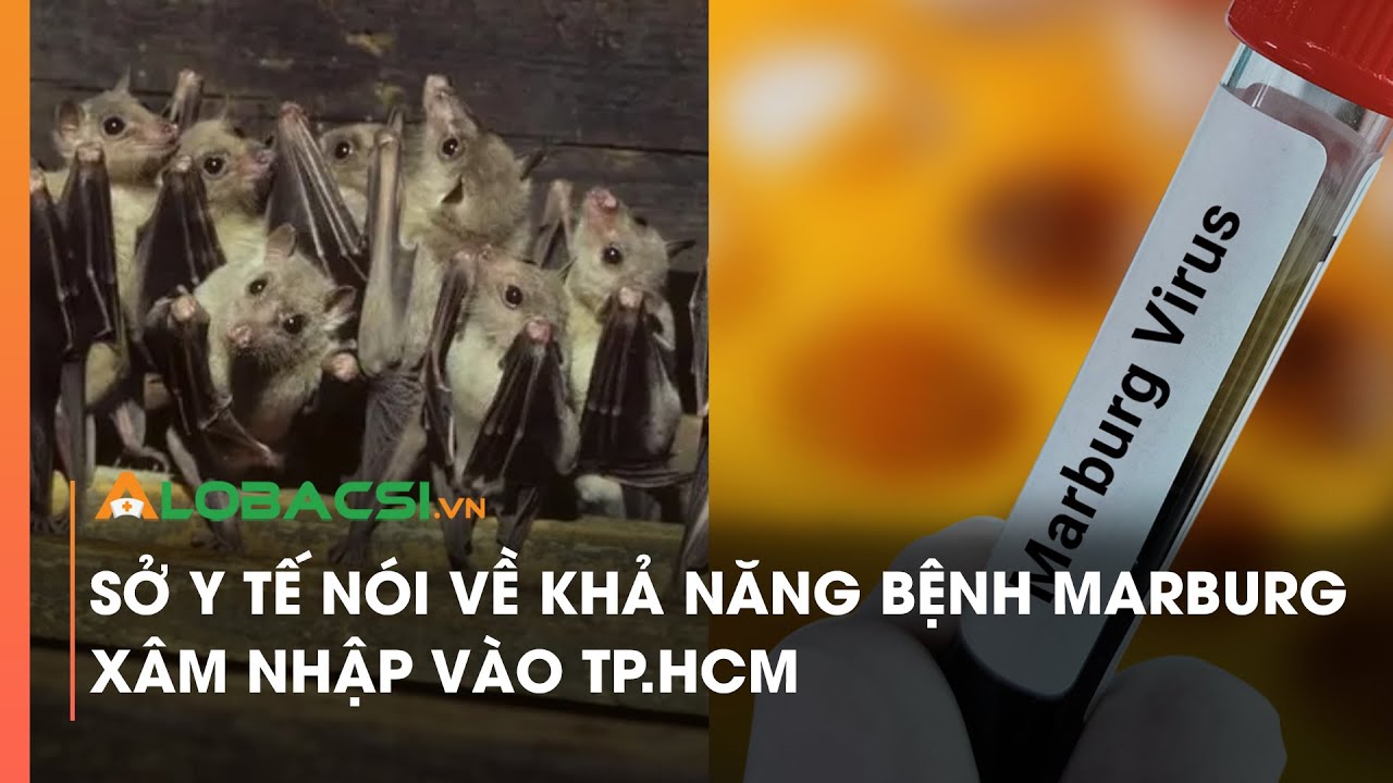 Sở Y tế nói về khả năng bệnh Marburg xâm nhập vào TP.HCM | Video Alobacsi