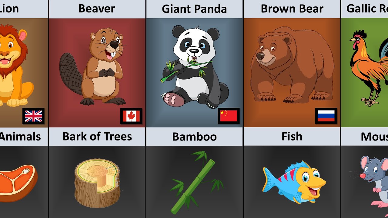 National Animals And Their Favorite Food From Different Countries