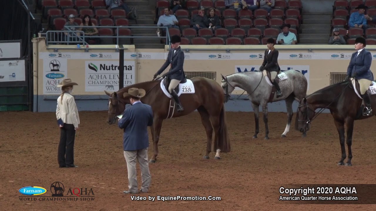 2020 AQHA Junior Hunter Under Saddle