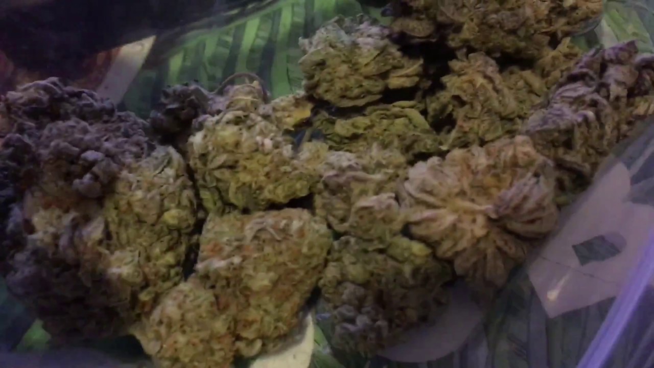 LIT ASS FRIDAY VLOG!!! FAT JOINT SESH🔥😈