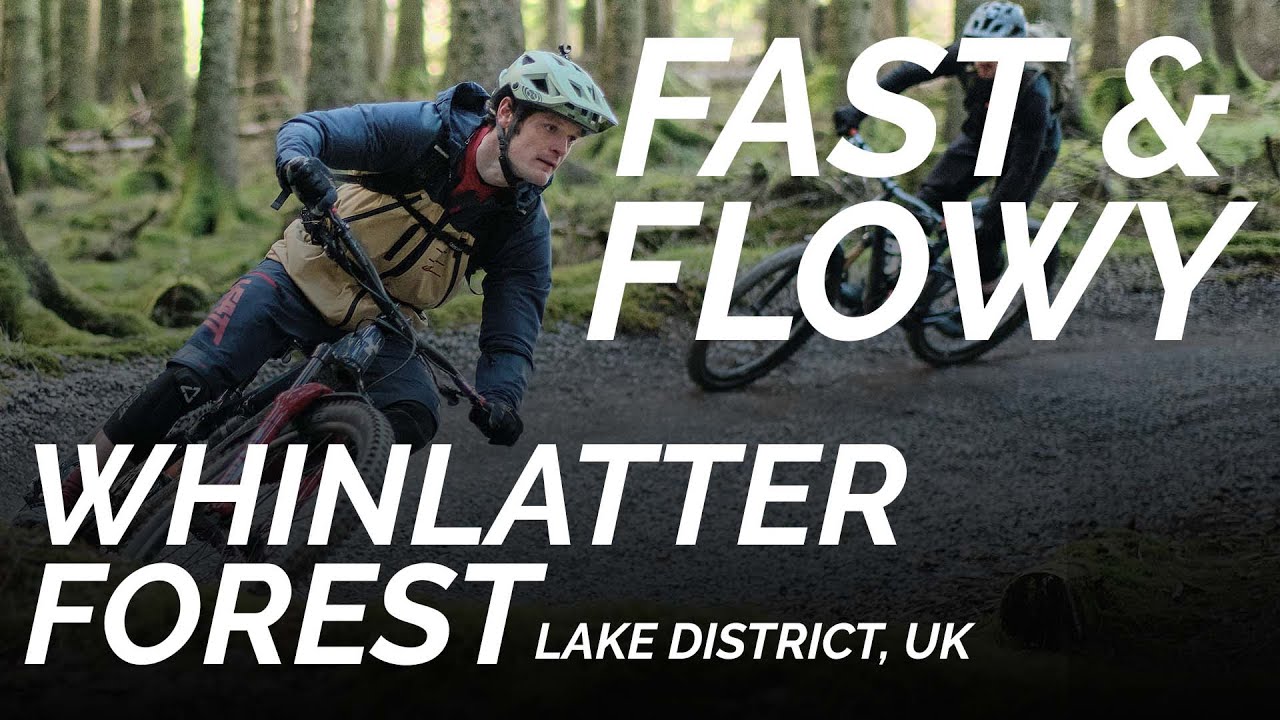 Whinlatter South Loop, Lake District - Trail Check