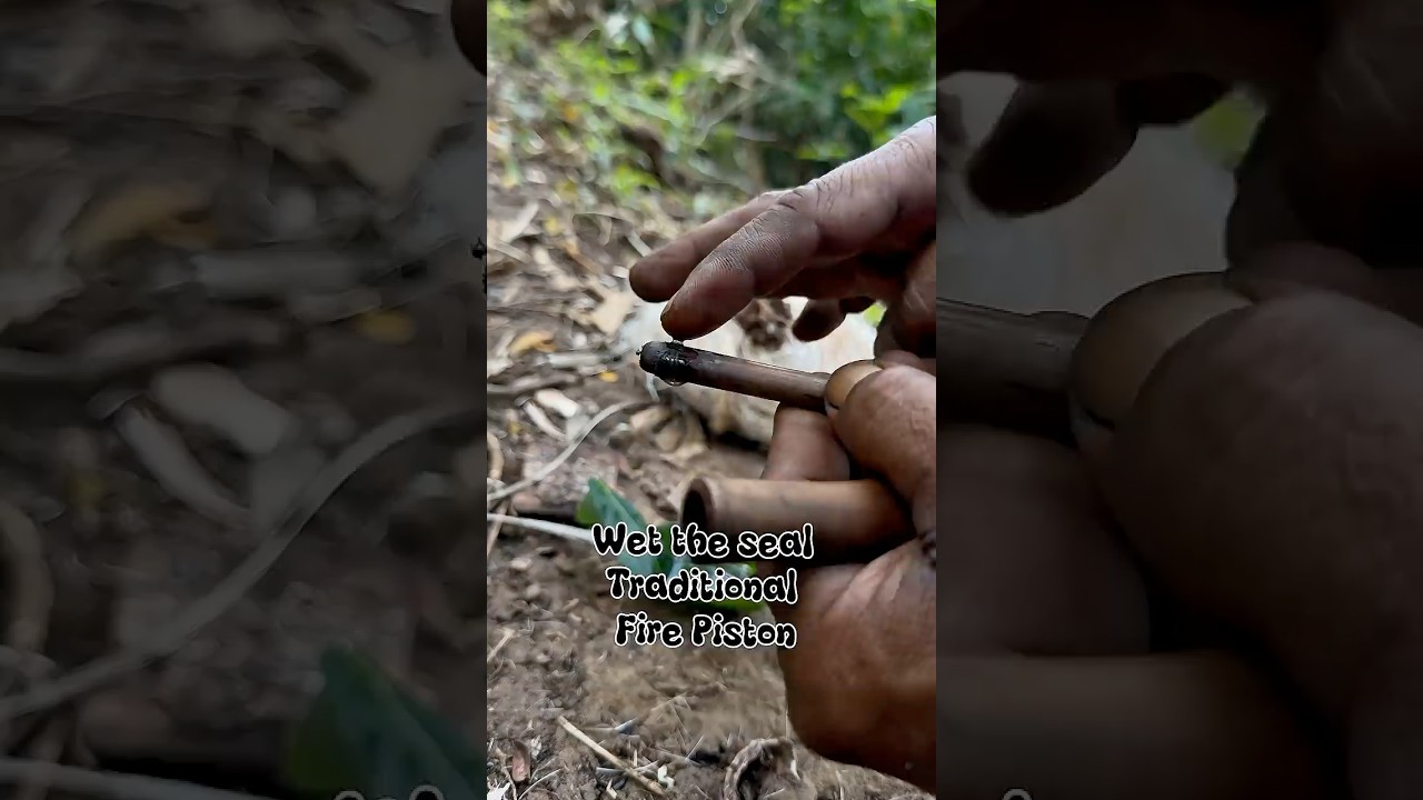 Wet the seal, Traditional fire piston #primitivefirelighting #bushcraft #survival