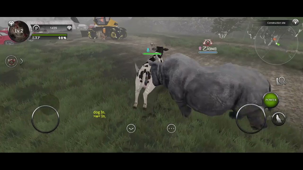 Playing Wild Animals Online (again)