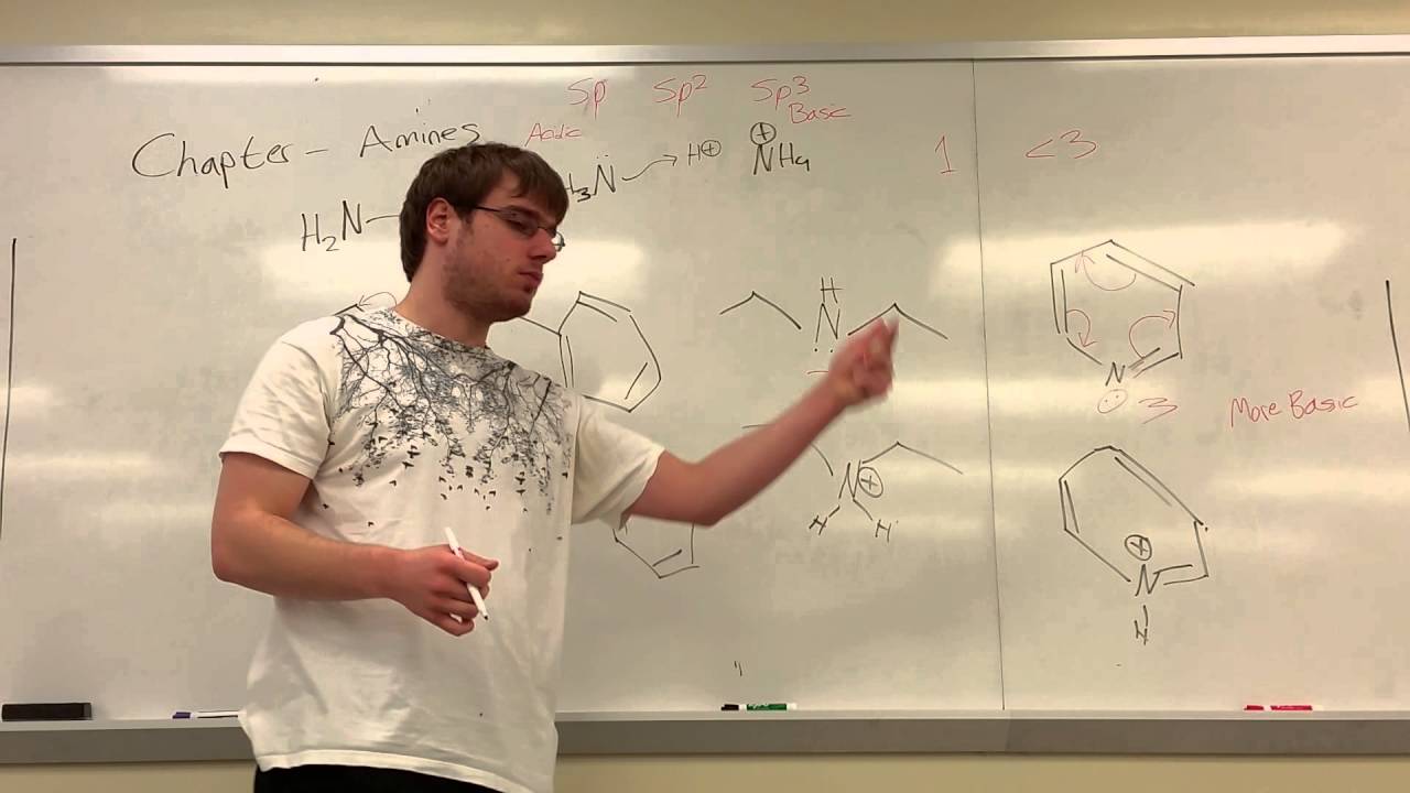 Chapter 20 Part 2 - Basicity of Amines