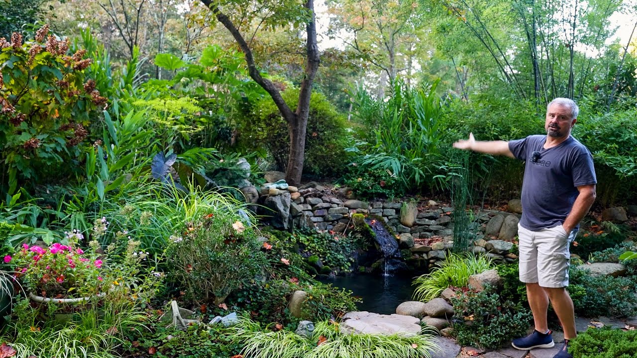 Look at this Garden