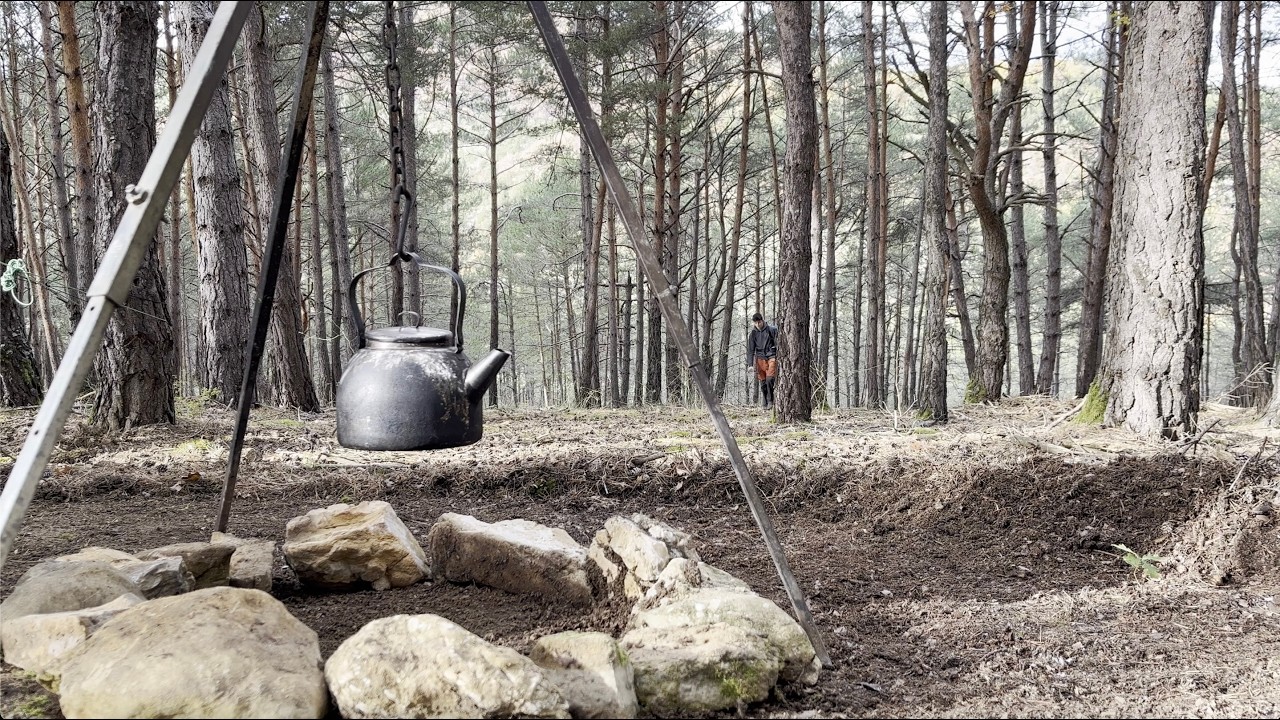 Stage Forestier de l'Ecole Steiner-Waldorf en région d'Avignon
