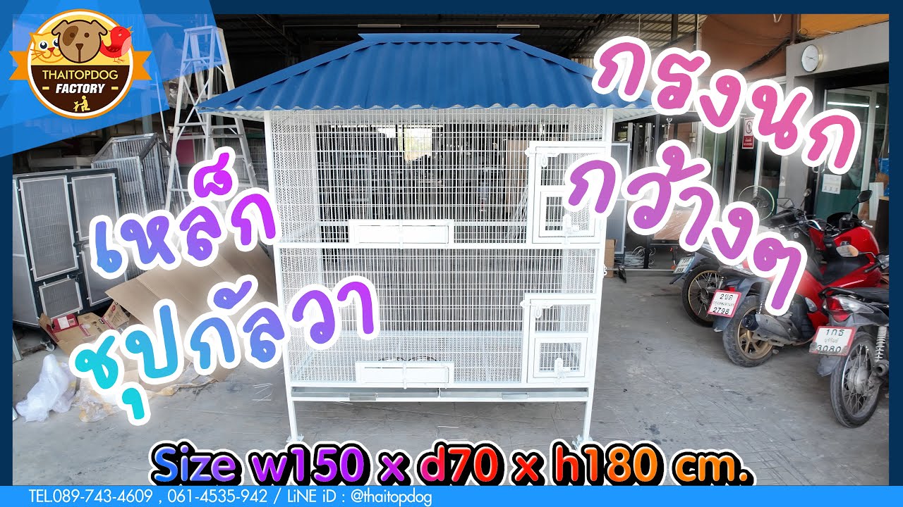 กรงนกกว้างๆ ทนสนิม ใช้เหล็กชุปกัลวาไนซ์ ด้านข้างประตูใหญ่ | THAiTOPDOG | Vol.420