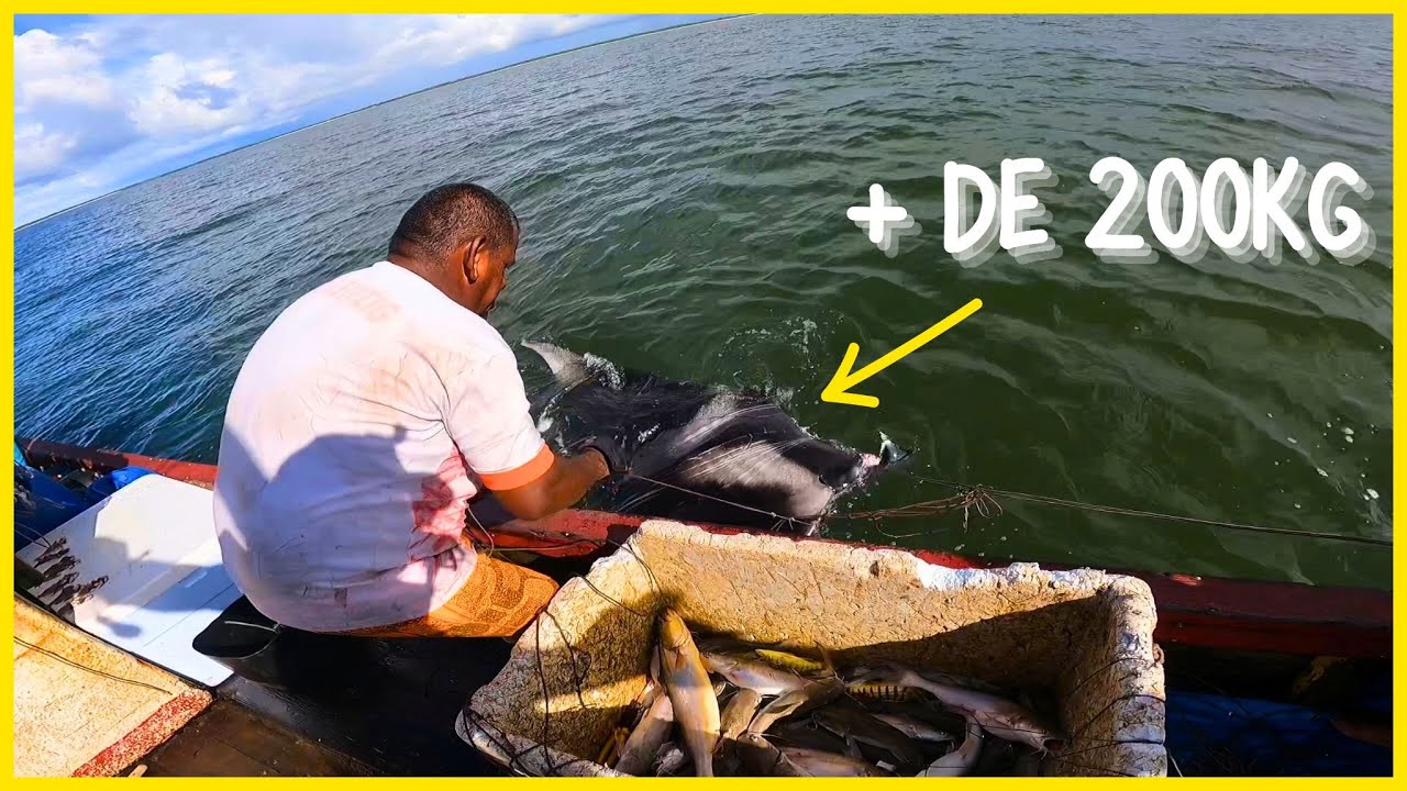 Super Arraia Gigante de + de 200kg Pescada - Pesca Extrema em Alto Mar!!!