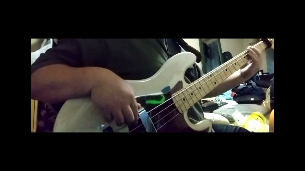 Feel Like Makin' Love / Bass cover
