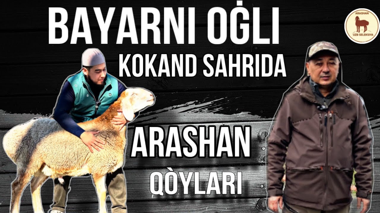 Adham xajiakani qòralari +998 908540347 #arashan #2024 #Kokand #uzbekistan