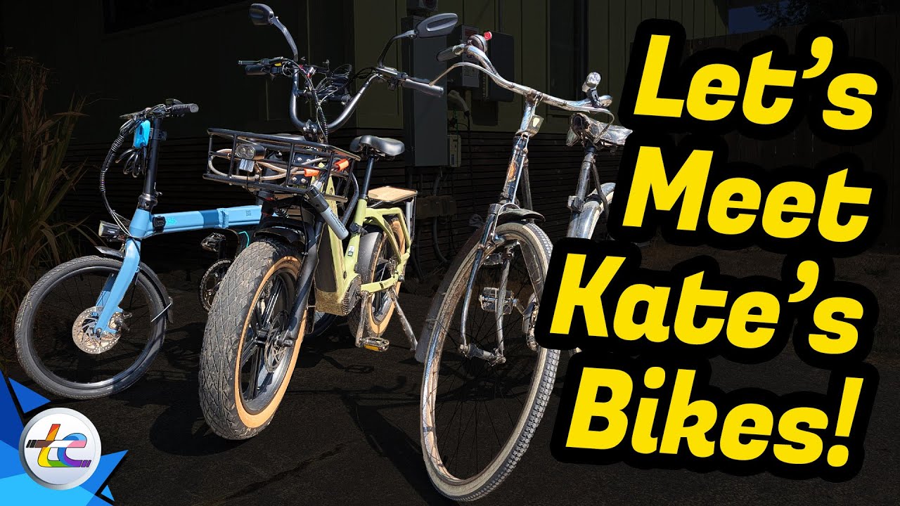 Long term reviews: Fiido D11, Mokwheel Scoria and...BSA 3-speed