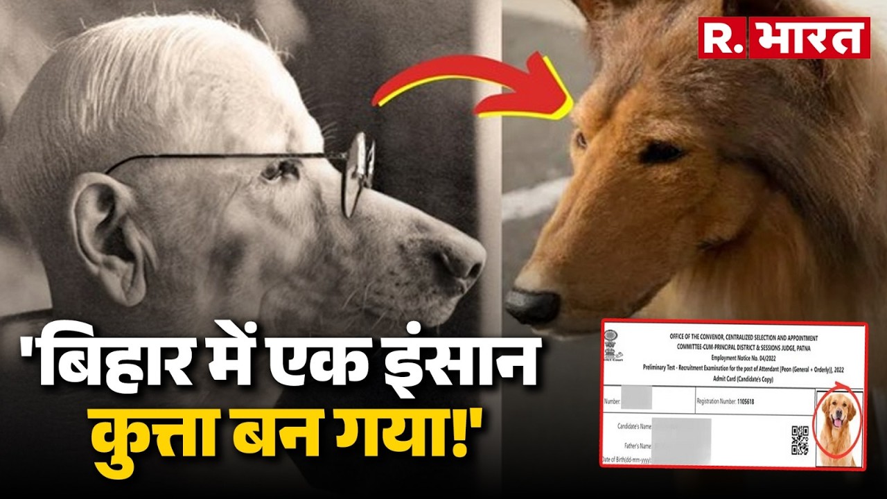 Bihar Civil Court Admit Card News | बिहार में गजब! छात्र के एडमिट कार्ड पर लगा दी कुत्ते की फोटो