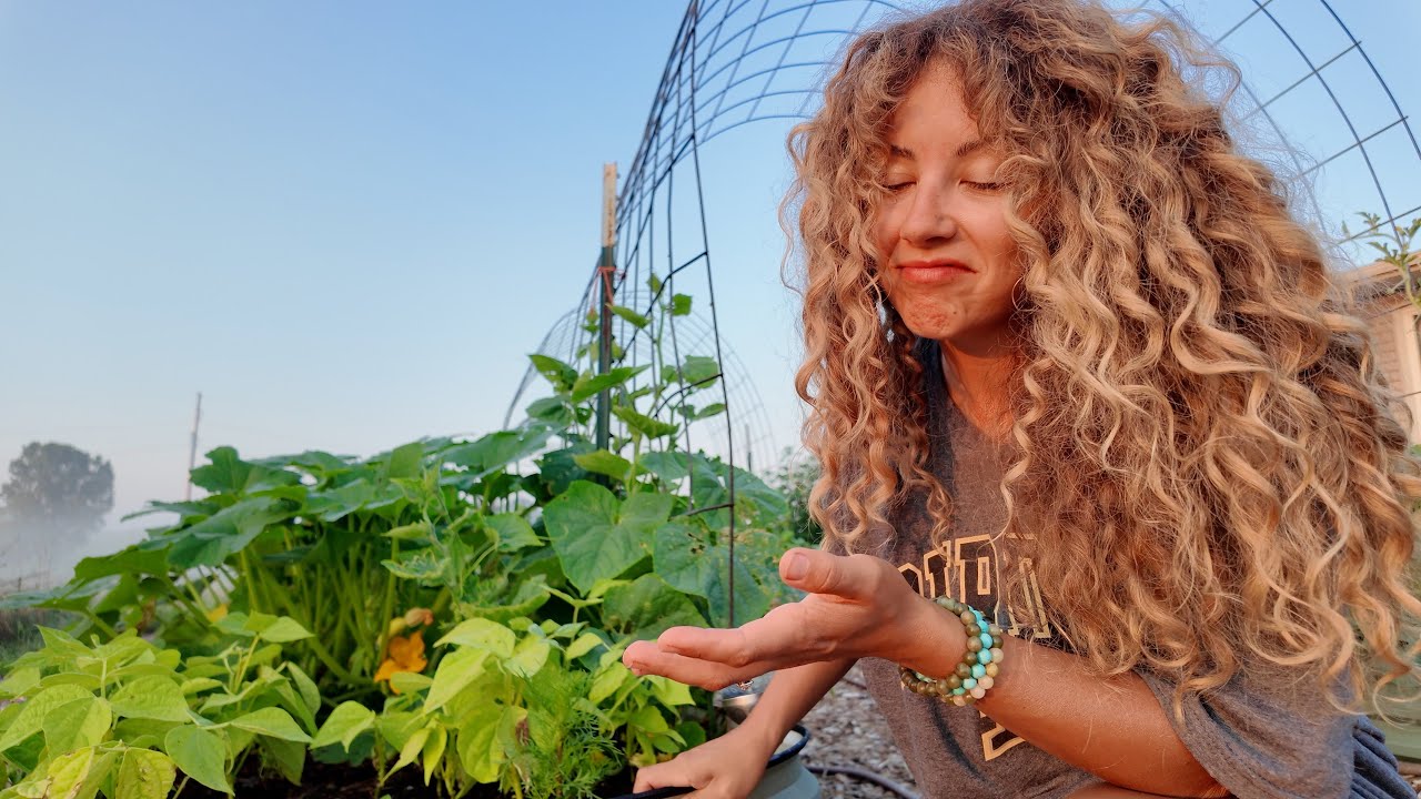 Homestead Life | Squash Bugs Are Killing My Squash