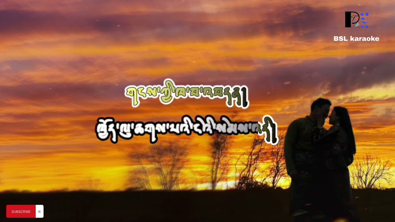 Choe lu chabi ( karma pulhuntsho & tenzin wangmo) [vocal off] 