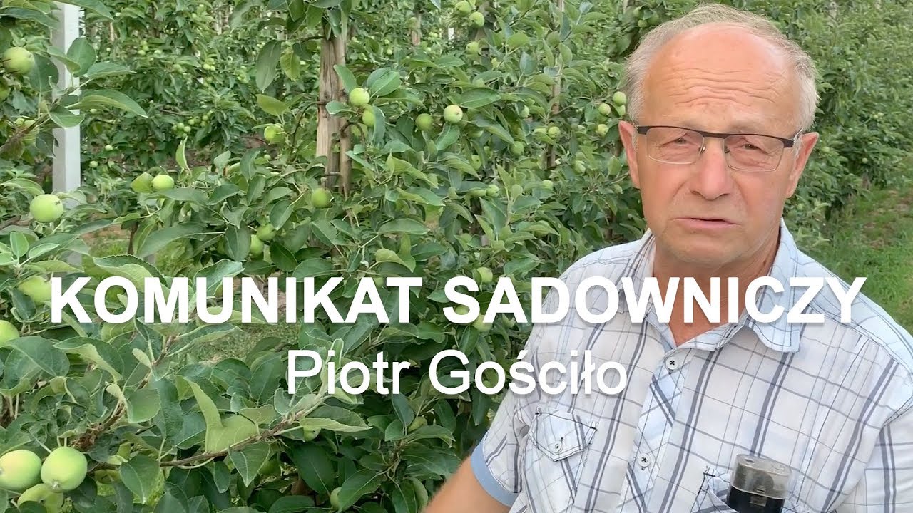 Komunikat sadowniczy #19 Empire - Piotr Gościło 01.07.2019