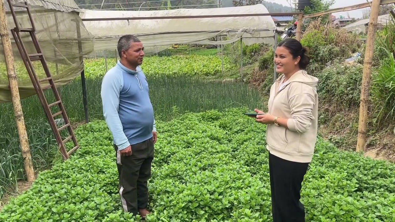 Local Farming, Healthy Living #MBA #Project-work  