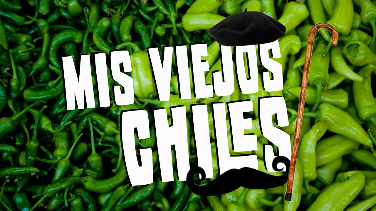 Cuanto vive una planta de chile? 🤔