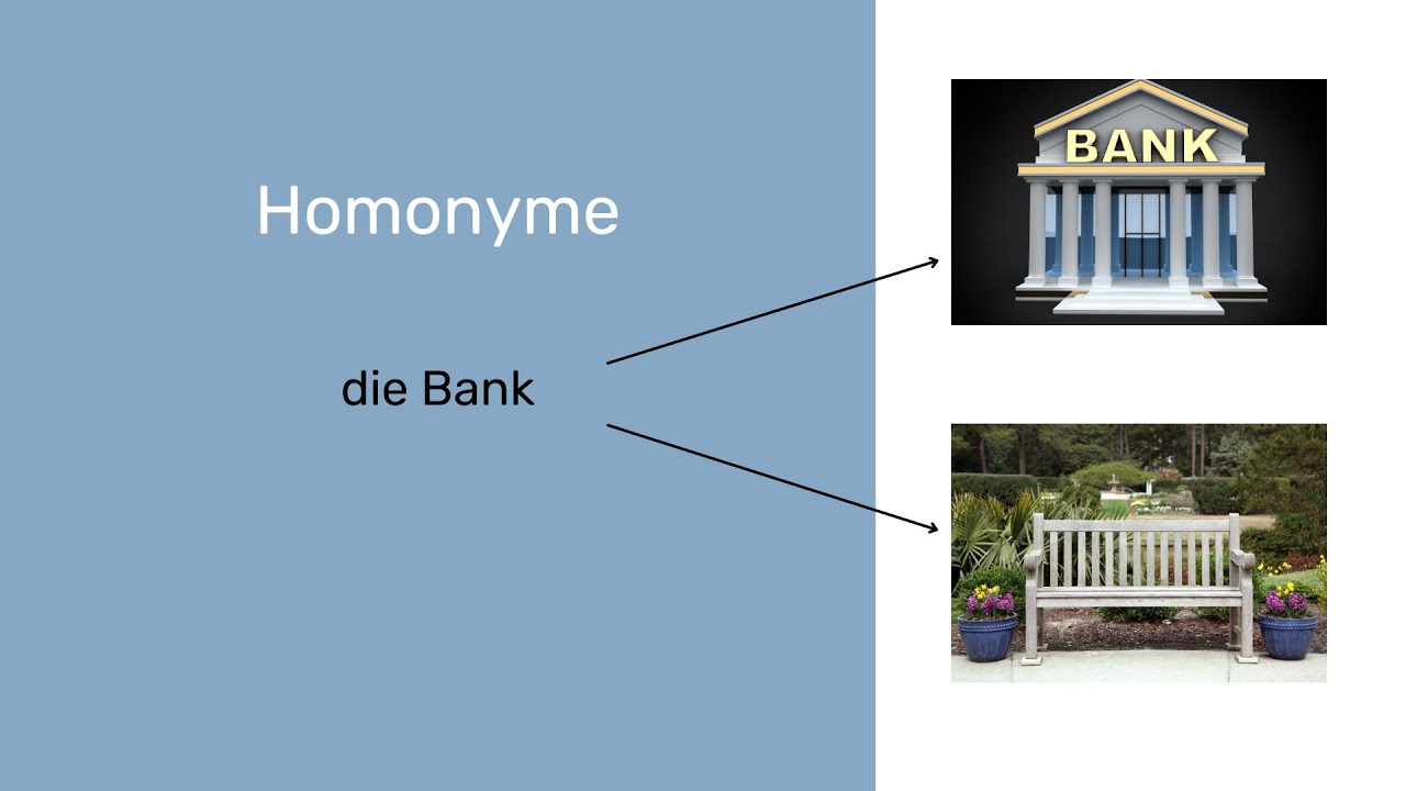 👉Homonyme  #deutsch #deutschlernen #german #germanonline #sprachschule German Cafe