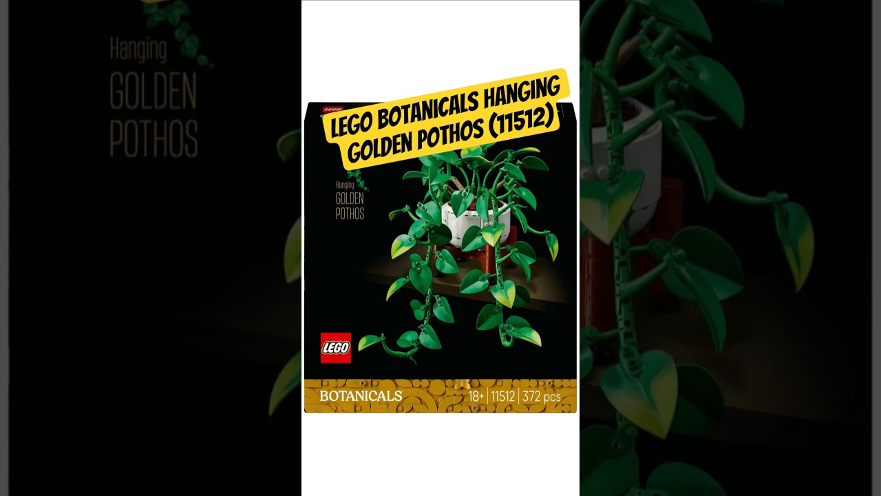 LEGO Botanicals Hanging Golden Pothos (11512) #pothosplant #nature #naturelovers #Botanicals #lego