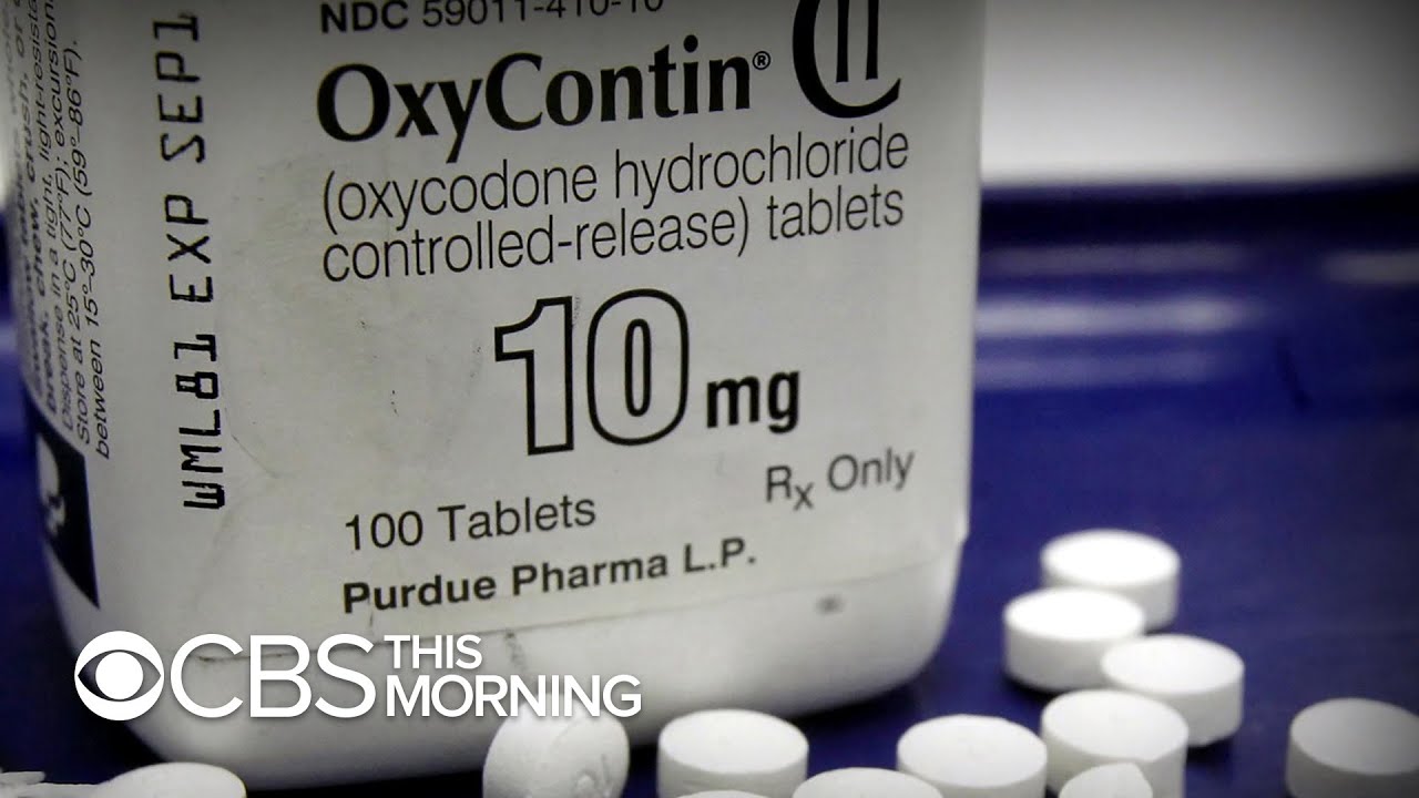 Family behind Purdue Pharma engineered opioid crisis, Massachusetts AG says