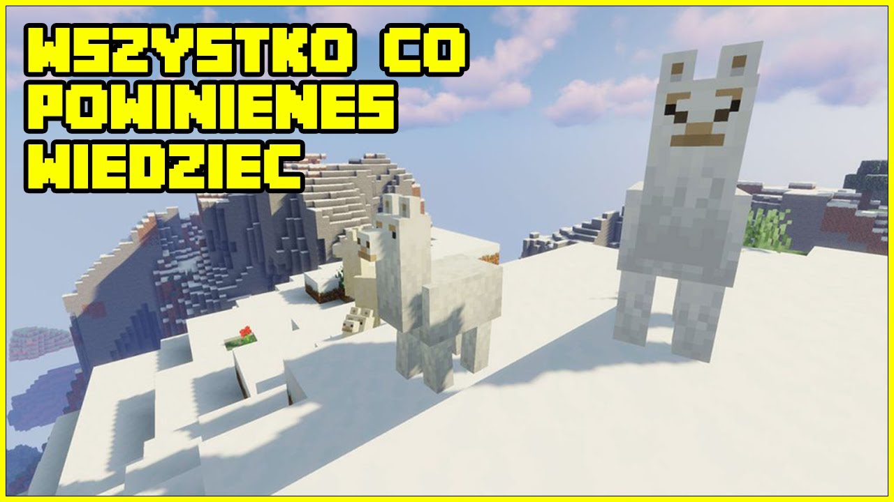 Jak oswoić lamę w Minecraft | Lama Minecraft - jak rozmnażać, co jedzą?