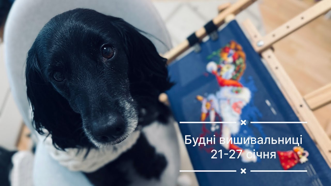 7. Будні вишивальниці 21.01-27.01. Два фініші з зимових стартів!🎉