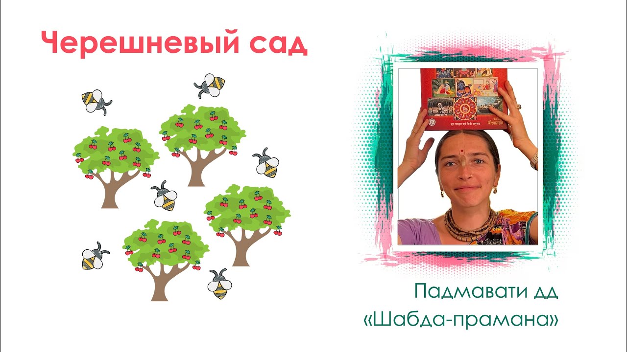 Черешневый сад. Падмавати дд «Шабда-прамана»