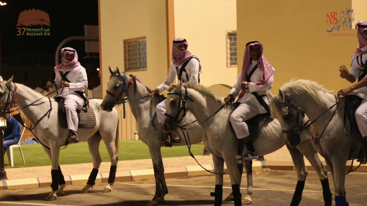 مسيرة فرسان محافظة المجمعة عيد الفطر ٣٧ هـ - نادي مسار الفروسية
