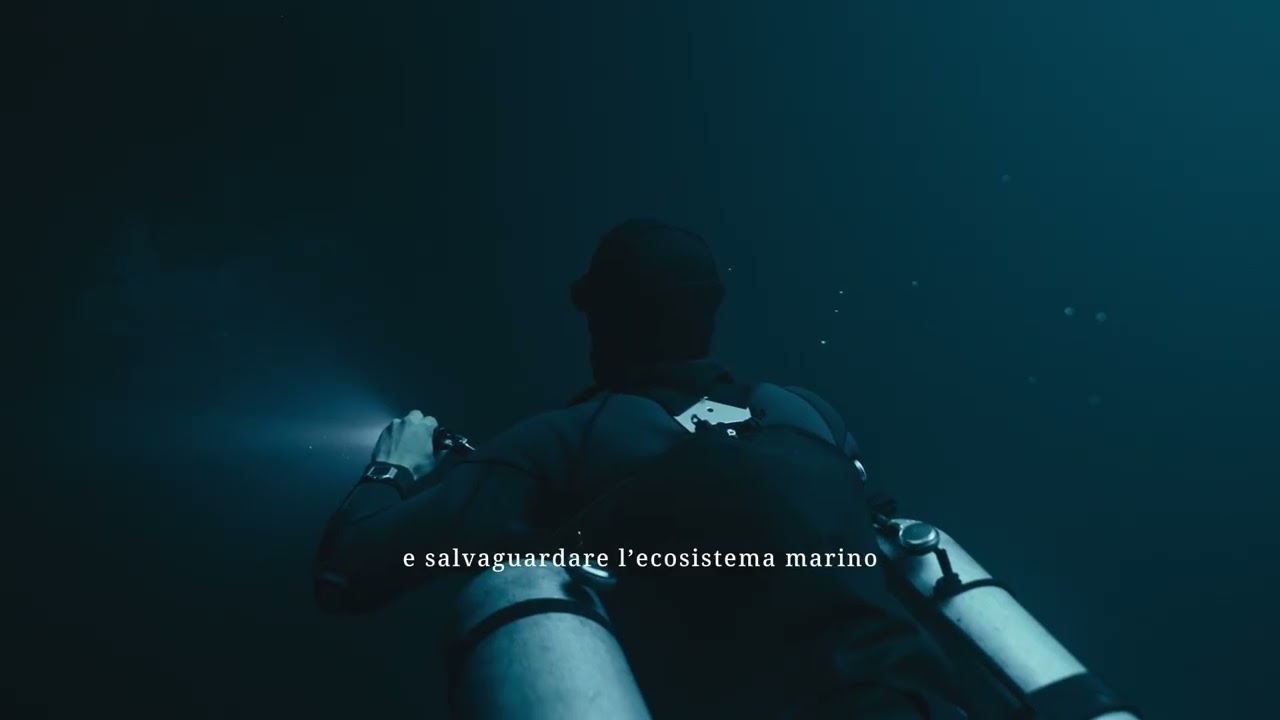 Polo Nazionale della dimensione Subacquea